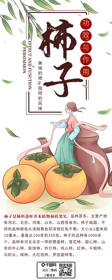 冬季柿子的功效和作用介绍信息长图