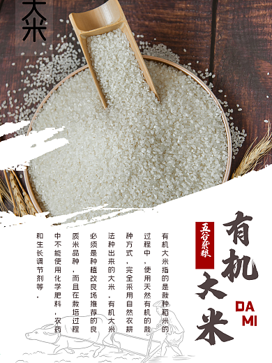 五谷杂粮大米宣传海报