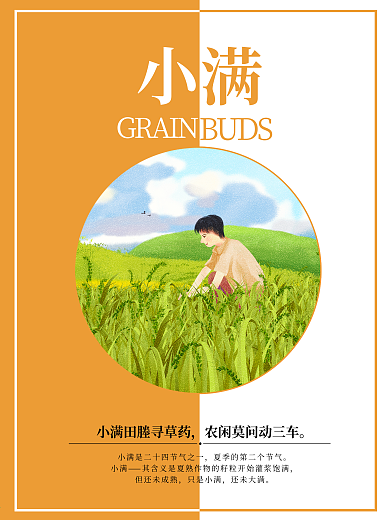 二十四节气之小满节气海报