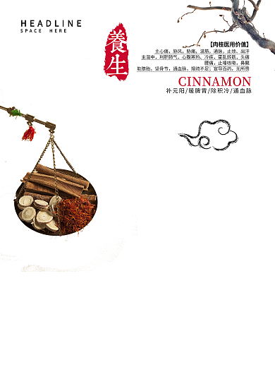 美食肉桂养生美食海报