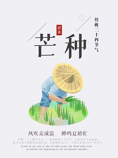 芒种插秧二十四节气海报
