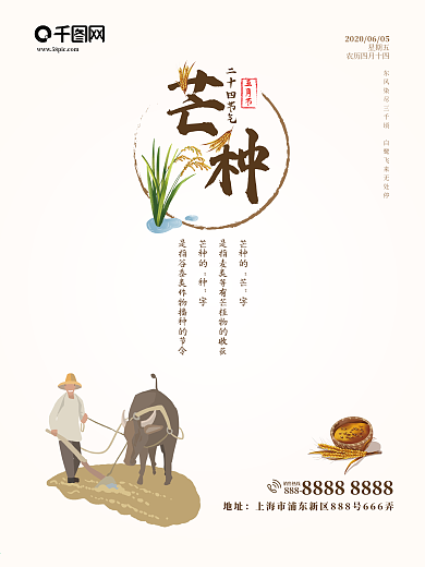 二十四节气芒种水稻麦穗简约海报