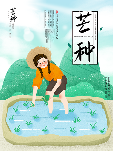 芒种芒种海报插秧节气海报