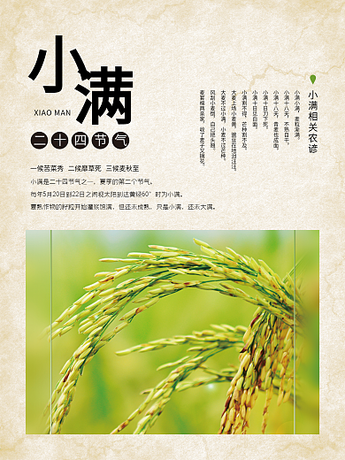传统节气小满海报设计