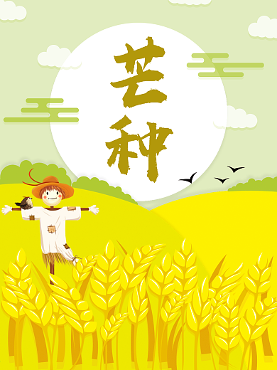 24节气芒种海报