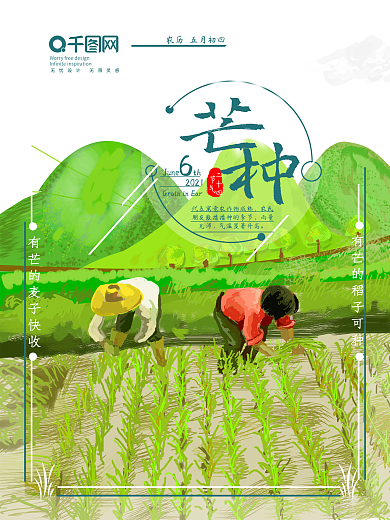 芒种二十四节气原创海报