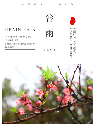 谷雨24二十四节气小清新清明桃花打湿海报