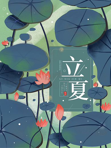 荷花立夏小清新插画海报