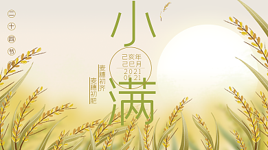 小满小清新节气手绘展板