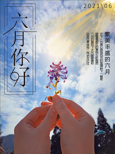 六月你好春暖花开海报