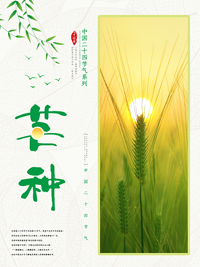 小清新绿色芒种海报