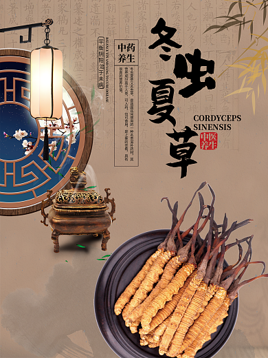 竹子水墨中国风中华药膳美食冬虫夏草海报