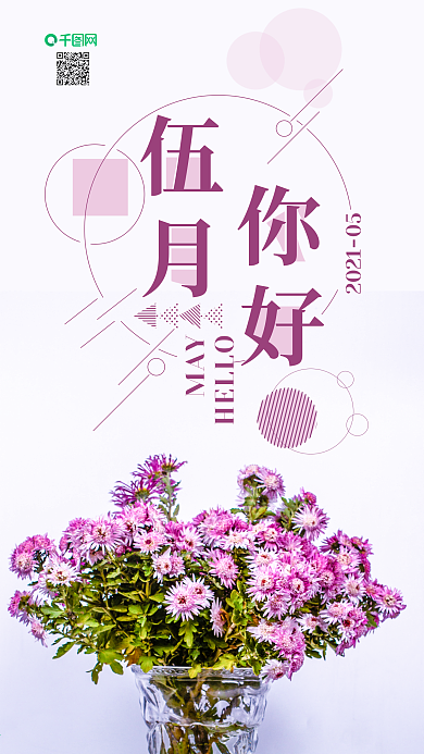 手机壁纸五月你好小清新紫色小菊花摄影图