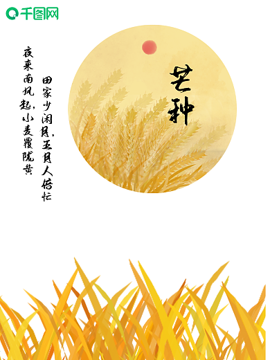 清新黄色芒种麦子海报