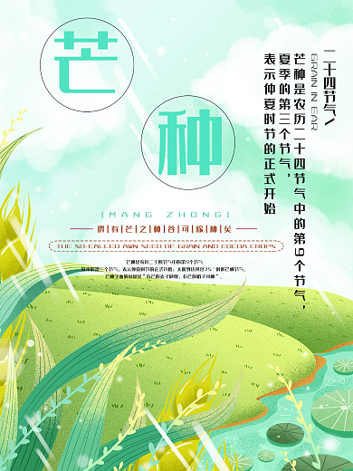芒种24节气海报