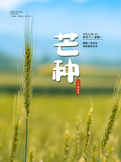 原创传统二十四节气芒种海报