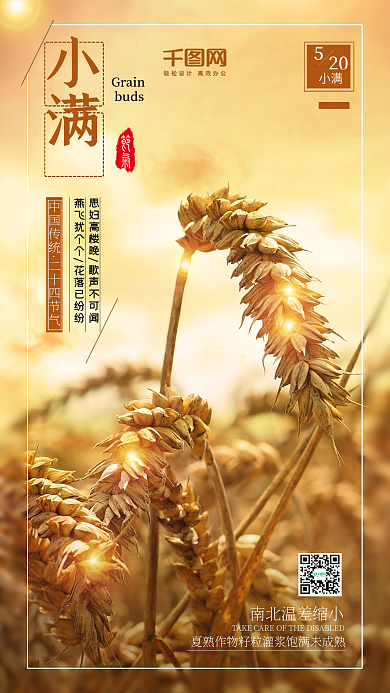 小清新小满二十四节气宣传海报