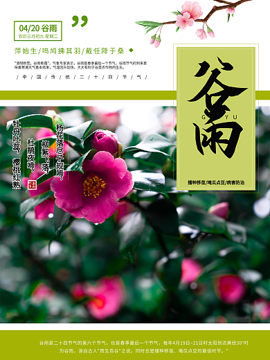 谷雨简约传统二十四节气谷雨海报