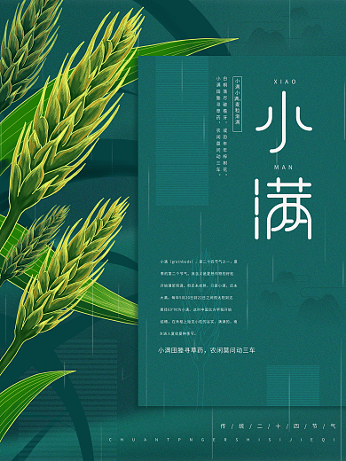 原创插画标题字中国风小满节气海报
