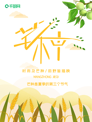 芒种节气橙色原创字体海报