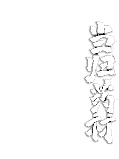 原创插画中药药材当归养生海报