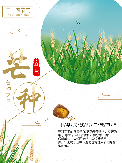传统节日芒种节气海报