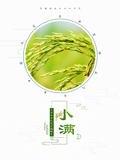 简约清新二十四节气之小满节气海报