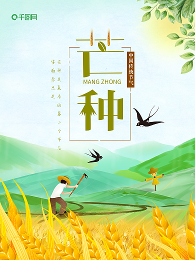 芒种节气海报麦穗