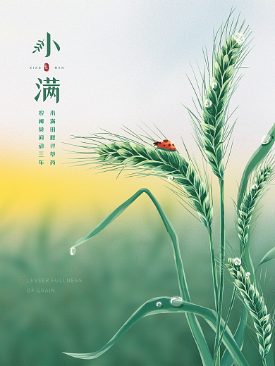 原创手绘简约留白小满节气海报