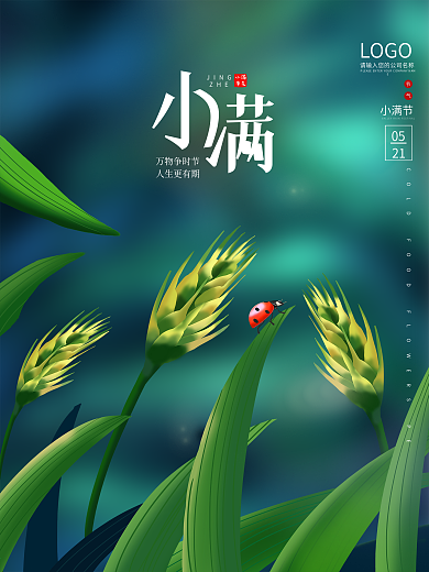 小满中国风插画节气简约大气海报
