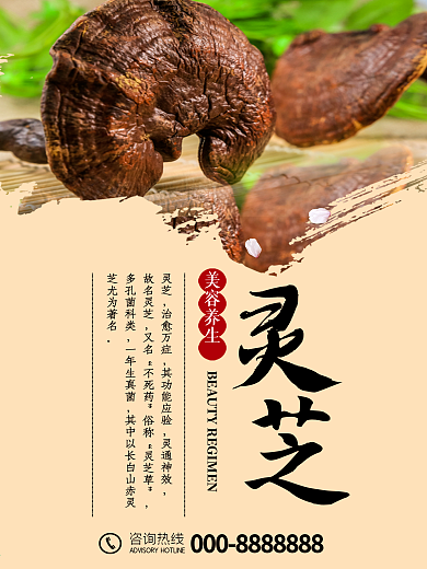 灵芝美食养生海报