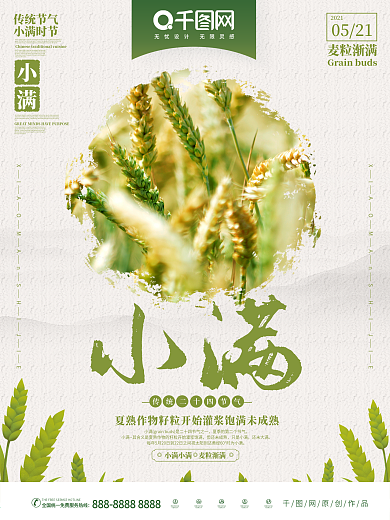 二十四节气之小满节气海报