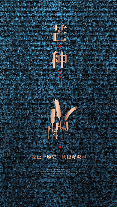 芒种节气简约大气手机海报