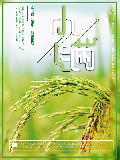 时尚小清新小满节气海报设计