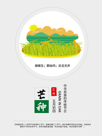 芒种二十四节气海报模板