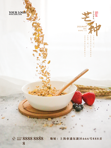 芒种二十四节气简约海报