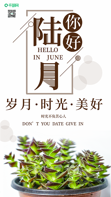 手机壁纸六月你好小清新多肉植物摄影图