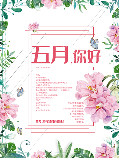 五月你好