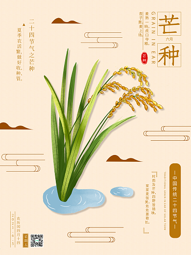 芒种稻穗线条海报