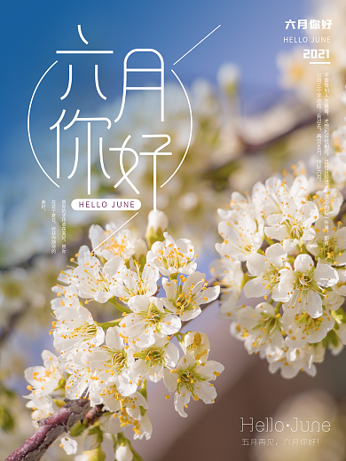 6月你好节日海报