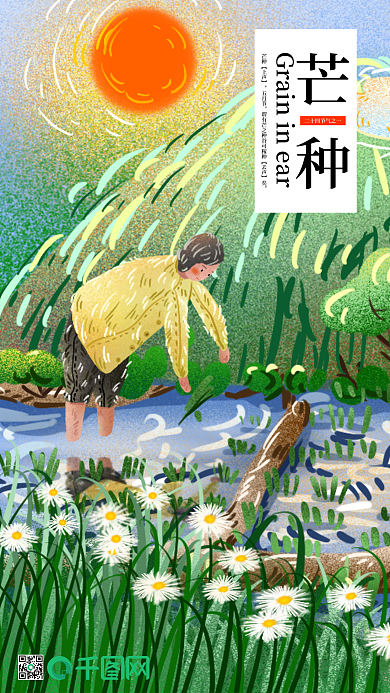 节气芒种之旭阳下田间插秧的劳动者