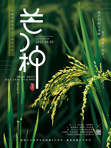 原创手绘简约清新芒种节气海报