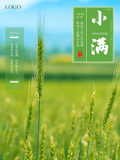 清新简约小清新小满节气海报