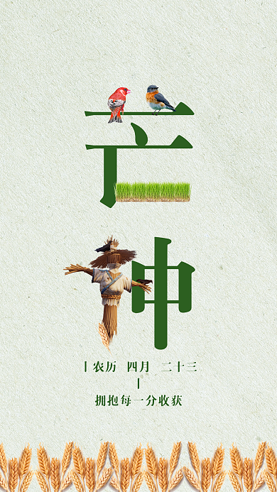简约创意二十四节气芒种手机海报