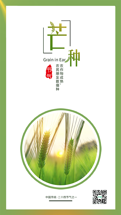 小清新芒种二十四节气手机配图海报
