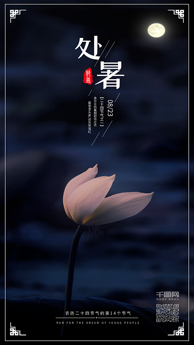 小清新处暑荷塘月色二十四节气配图