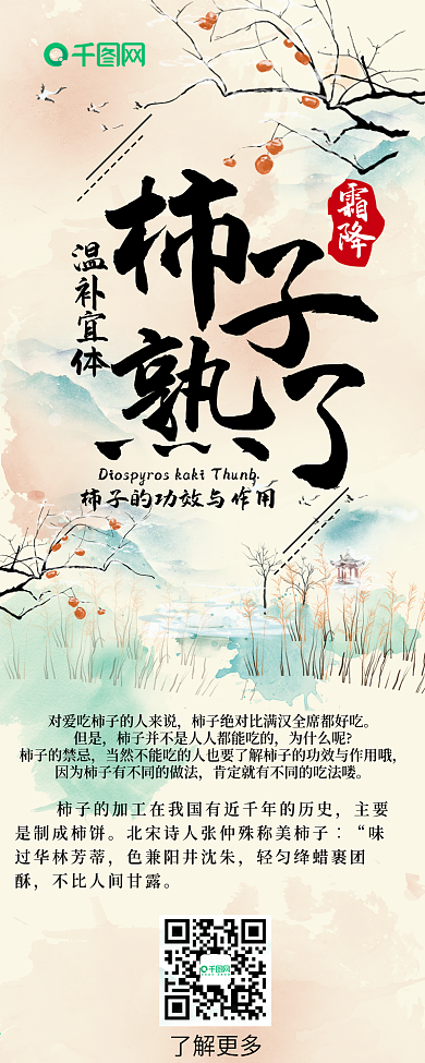 柿子熟了工笔中国风功效干货科普信息长图