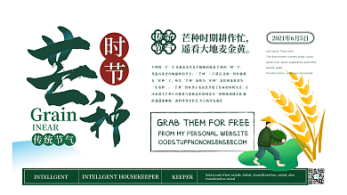 简约清新芒种时节展板