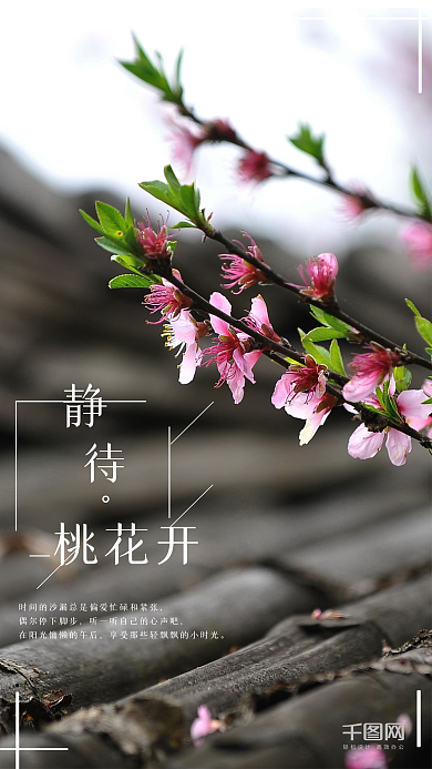 桃花季赏花节宣传海报