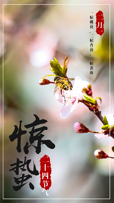 小清新二十四节气惊蛰手机海报